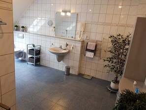 Hair dryer, towels, soap, toilet paper - Ferienhaus am Rheintor (Andernach)