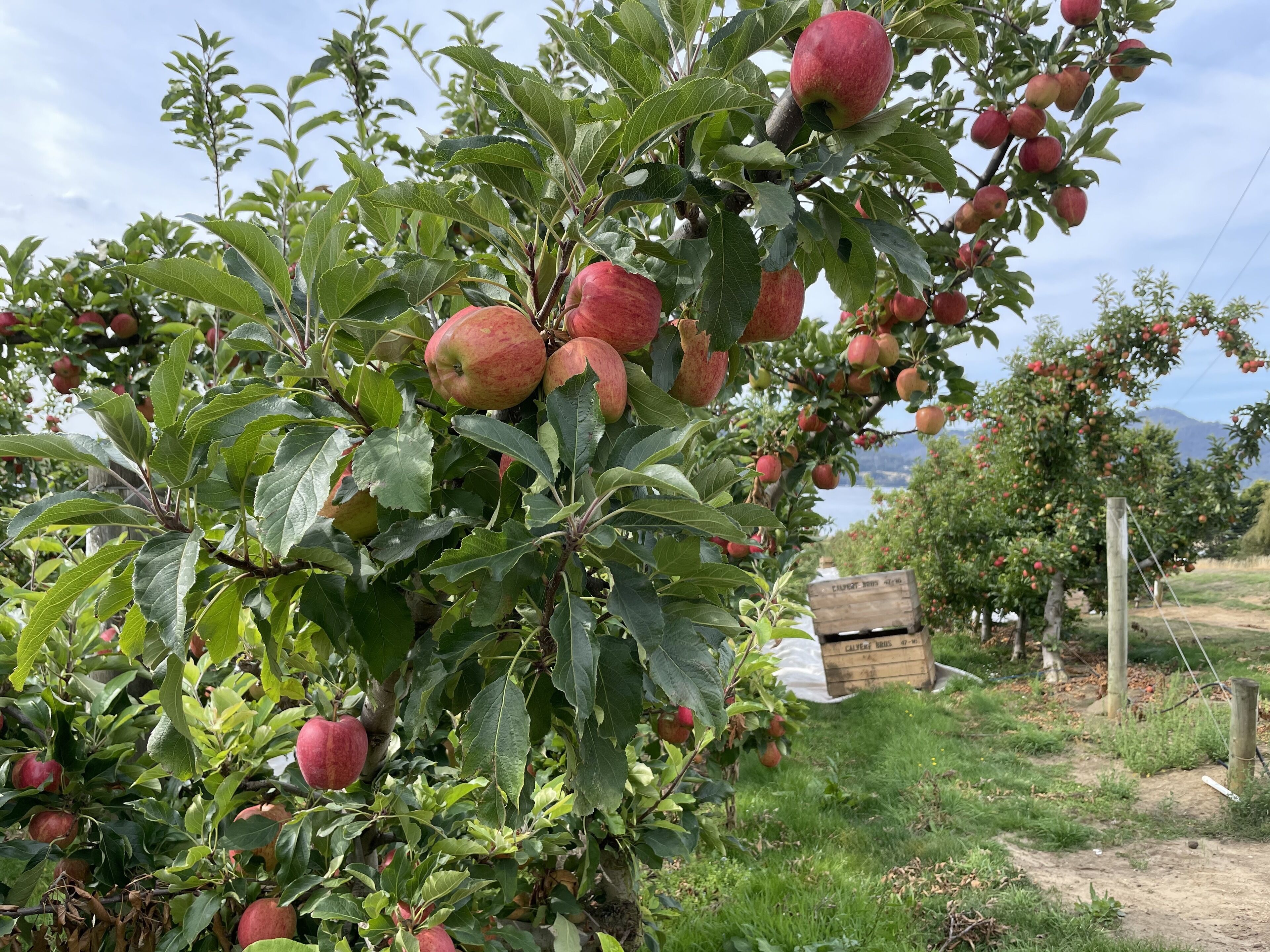 A cosy getaway you won't want to leave — image 30