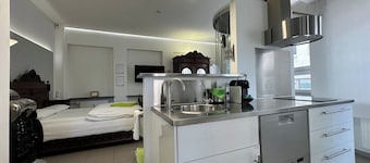 Modern 1 room Loft City Center Ground Floor
