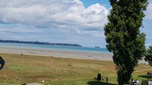 Eine Küstenlandschaft mit Strand, Rasenflächen und einem großen Baum.