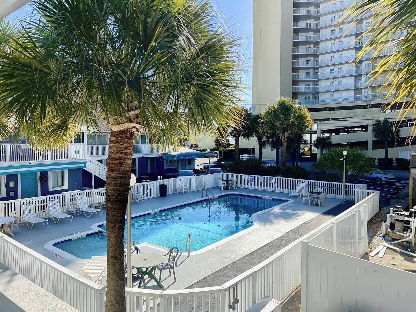 A swimming pool with lounge chairs and a palm tree, surrounded by a white fence.