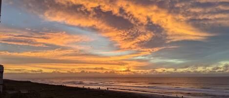 A coastal sunset with a view of the ocean and a grassy area with a fence.