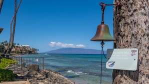 A coastal scene with a whale alert bell attached to a tree, a signboard, and a clear view of the ocean and distant land.