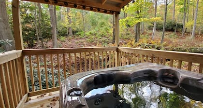 Lewis' Cottage | 2BR,1BA,Rustic,Hot Tub ,Fireplace