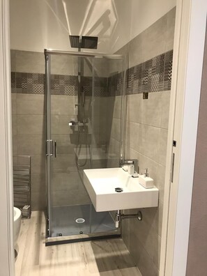 Shower, hair dryer, bidet, towels