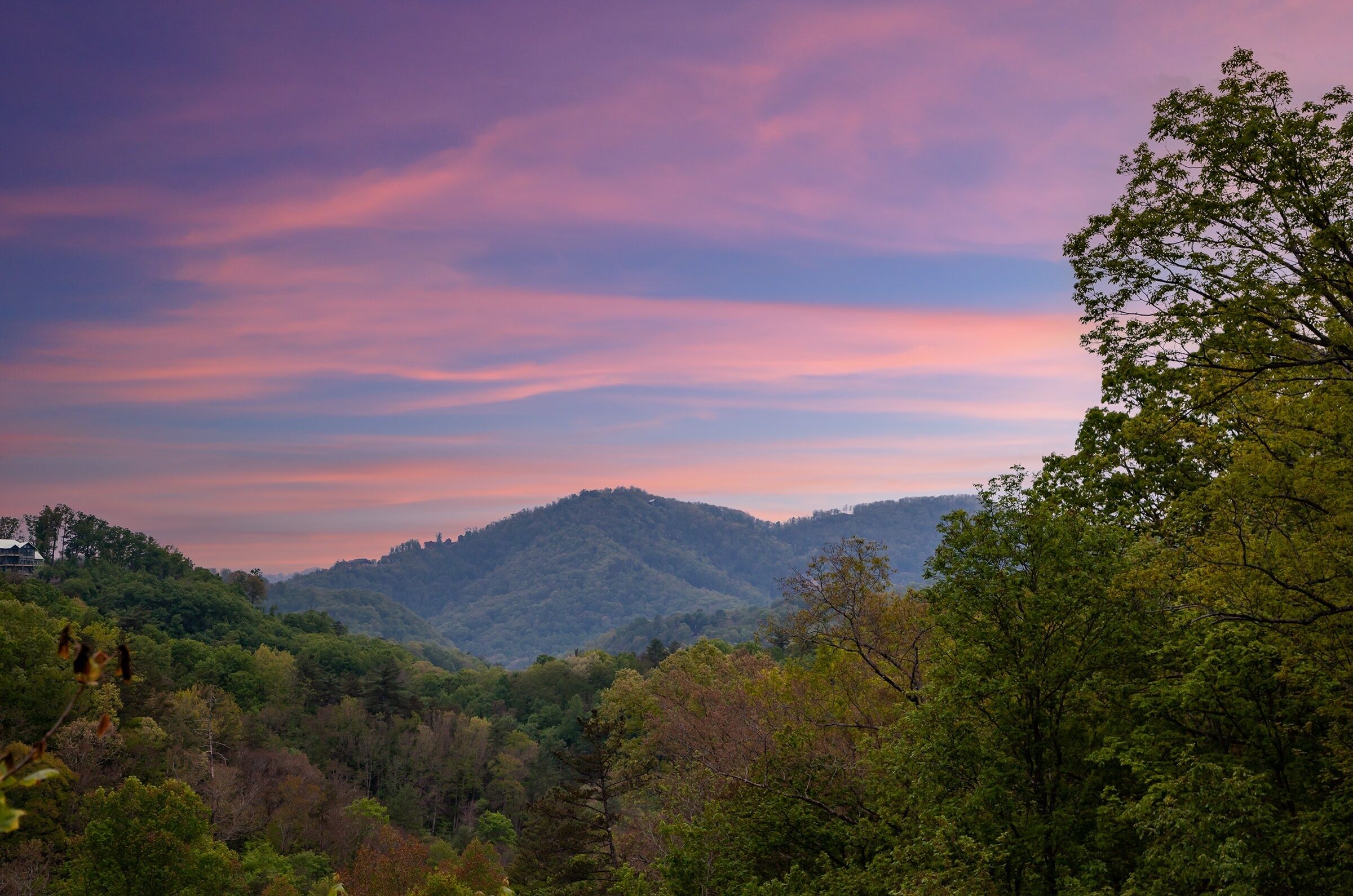A mountainous landscape with a forested area and a clear sky.