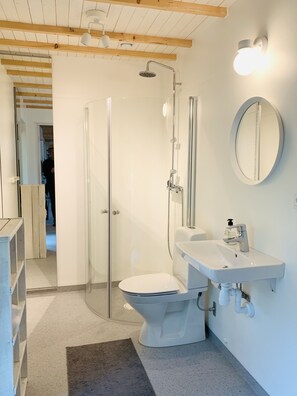 Shower, hair dryer, towels, toilet paper