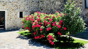 En bygning i sten med mange vinduer og en lille have med lyserøde blomster.