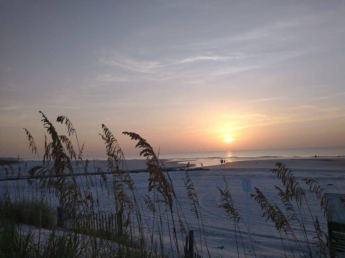 بالقرب من الشاطئ