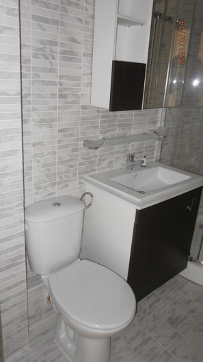 A bathroom with a toilet, sink, and mirror.
