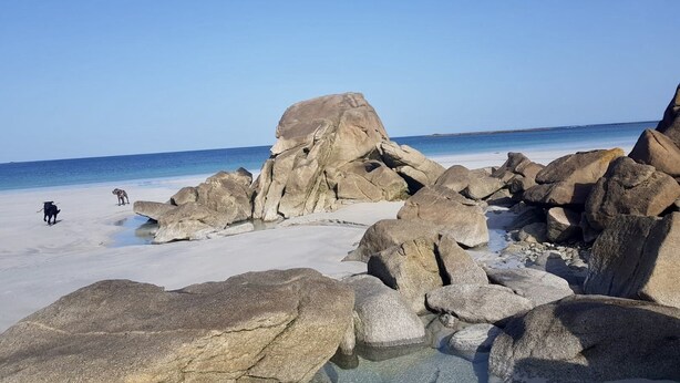 Ein Strand mit großen Felsen und einem klaren, blauen Himmel.