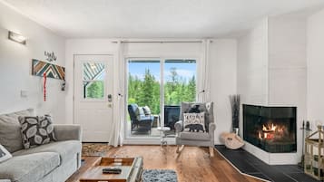 Smart TV, fireplace, books