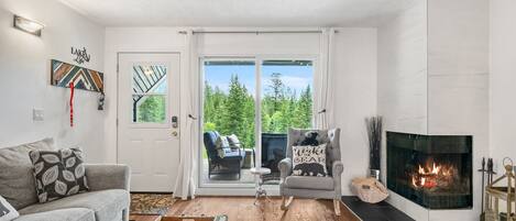 Smart TV, fireplace, books