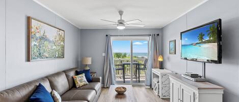 Fernseher, DVD-Player, Bücher