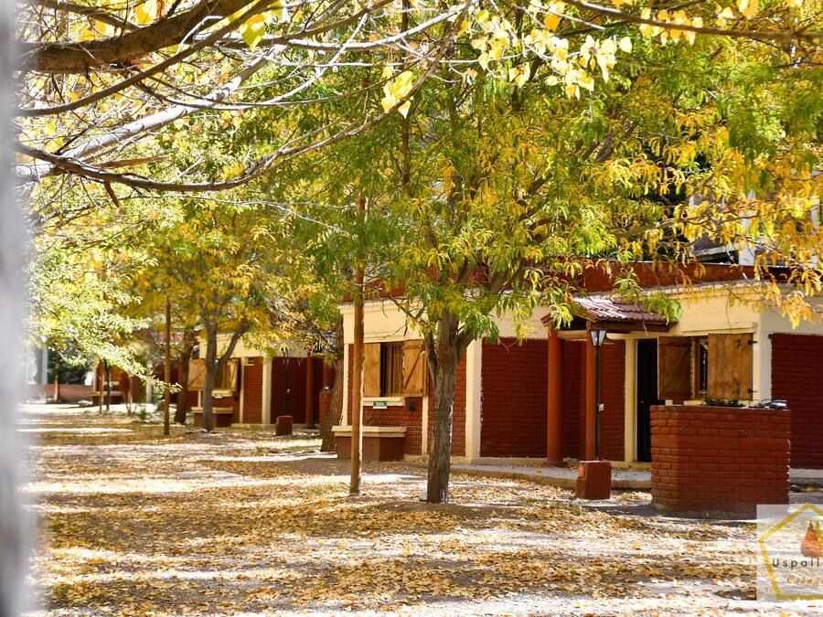 Muebles diferentes y ropa de cama