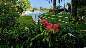A pool area with a clear view of the water, surrounded by lush greenery and palm trees. - R1345, Carabeo 1-42, Access to the Beach (Nerja)