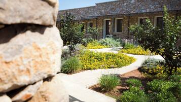 Vista desde la propiedad