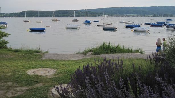 Un lago con barcos y una zona cubierta de césped con plantas de lavanda.