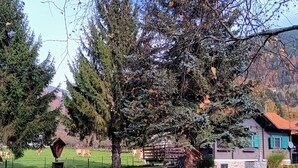 Paesaggio rurale con un albero grande, un campo recintato e un edificio con tetto rosso.
