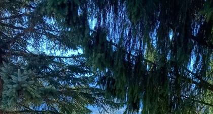 Family Home Weißensee