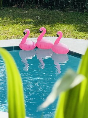 Outdoor pool, a heated pool