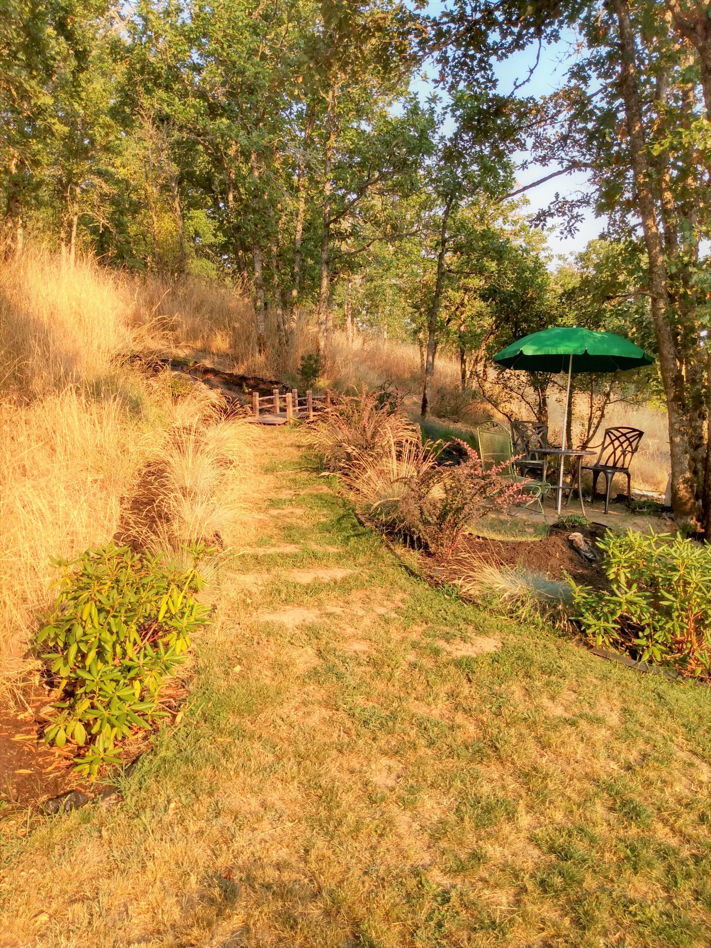 Un sendero atraviesa un área boscosa con una cerca de madera, una sombrilla verde y mobiliario exterior.