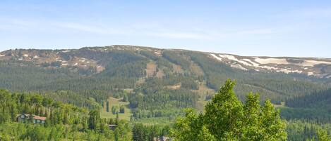 A mountainous landscape with scattered houses and dense forest.