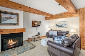Fireplace, DVD player, books, music library