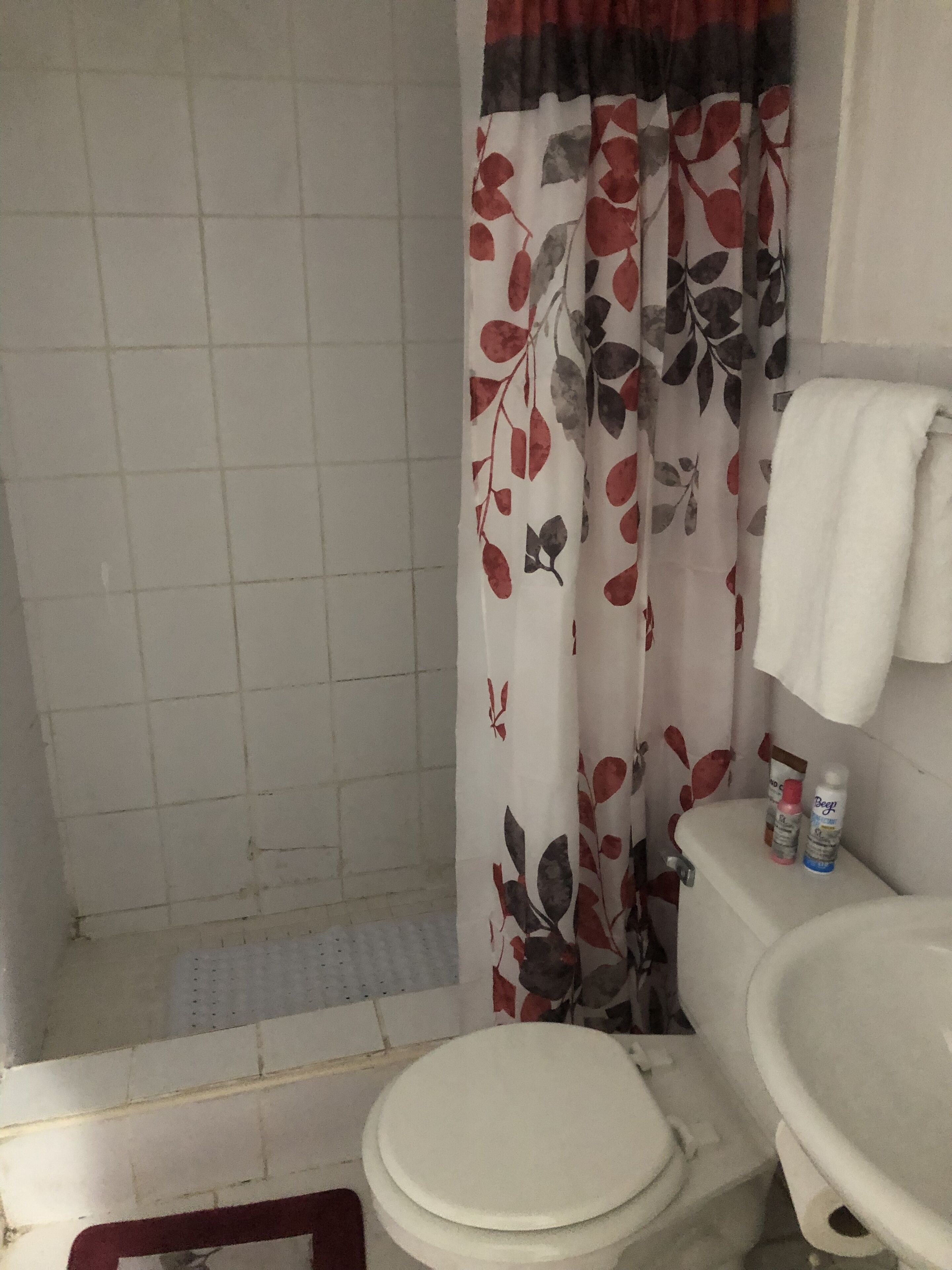 A bathroom with a toilet, a sink, and a shower curtain with a floral pattern.