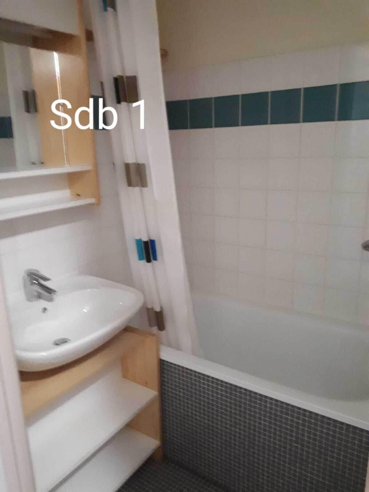 Baignoire, sèche-cheveux, savon, shampoing