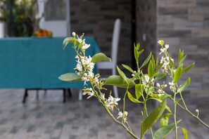 Villa | Terrace/patio