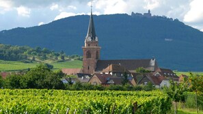 Eine Kirche mit einem hohen Turm, umgeben von Häusern und Weinbergen.