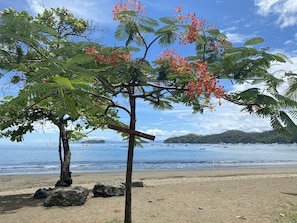 A beach with two trees and a sign indicating 'Oceanas de Osa'. - Costa Rica Private Home with Swimming Pool . (Playa Hermosa)