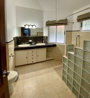 A bathroom with two sinks, a toilet, a shower, and a mirror.