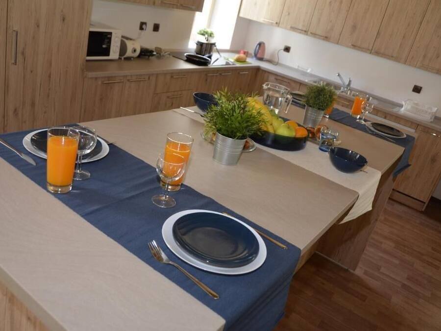 A dining area with a blue tablecloth, two plates, two glasses of orange juice, a fruit bowl, and a small potted plant.
