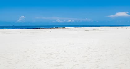 SunTime at the BEACH! Updated 2nd Floor Unit! GREAT Views of 2 Pools and Gulf!