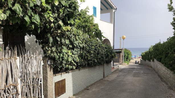 Uma rua estreita com um edifício branco à esquerda, coberto por hera verde. Uma cerca de madeira com ramos é visível em primeiro plano.