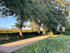 Property grounds - Family-friendly farm house, pool & tennis court, with large garden, near Loire (Prunay-Cassereau)