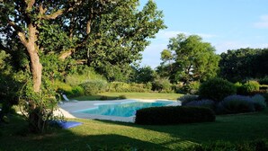 Una piscina rodeada de exuberante vegetación y árboles.