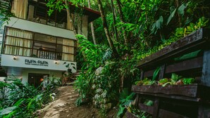 A rustic building with a sign reading "Rupa Rupa High Jungle Eco Bar". - Rupa Rupa High Jungle Eco B&B (Machu Picchu)