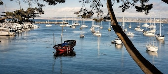 Family Friendly Retreat Near Monterey Sleeps 16+ |Sauna, Gazebos & Putting Green