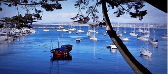 Foothill Oasis – Relax & Play Near Monterey!