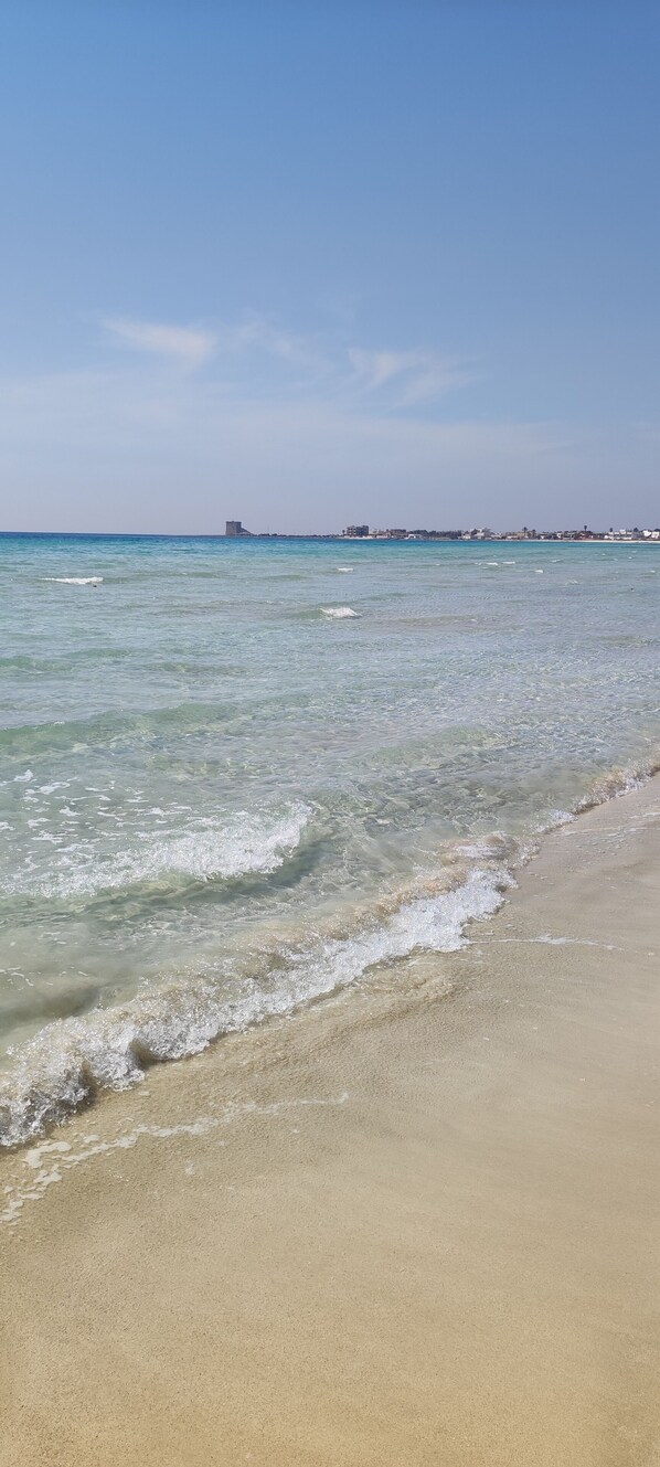Plage à proximité, serviettes de plage
