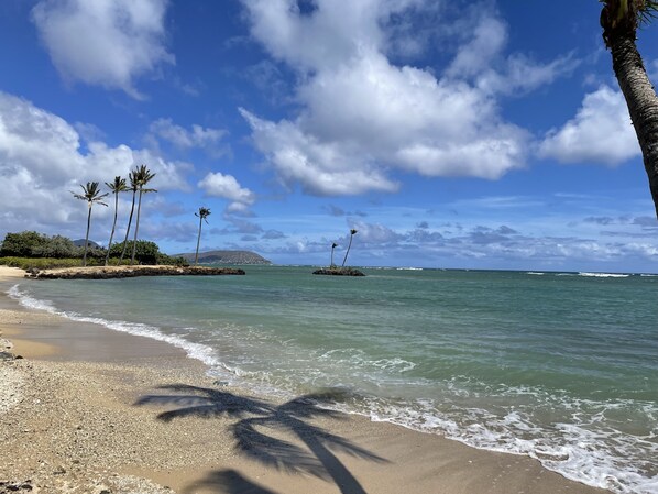 On the beach, sun loungers - Condo on the Beach (Kahala) 1 bedroom "March & April" ***Special Rates*** (Honolulu)