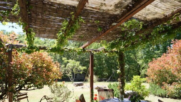 Un área de estar al aire libre, cubierta, con una mesa y sillas, rodeada de follaje y árboles.