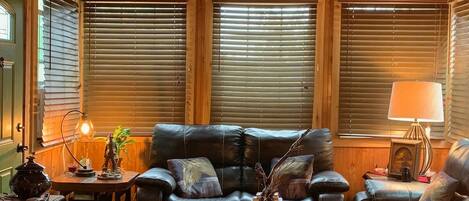 Smart TV, chimenea, reproductor de DVD, biblioteca de música