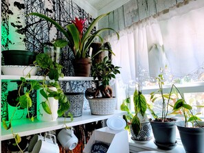 Interior - Bavarian Cabin @ HomeAway Ranch & Noah Animal Sanctuary (Boerne)