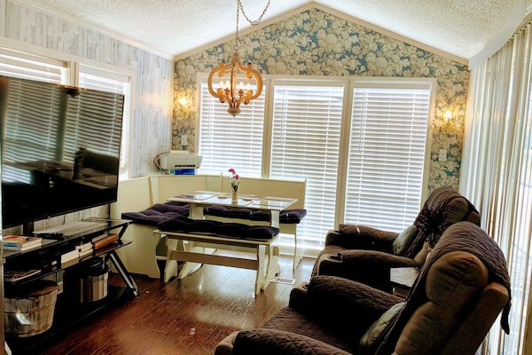 Smart TV, fireplace, DVD player, books