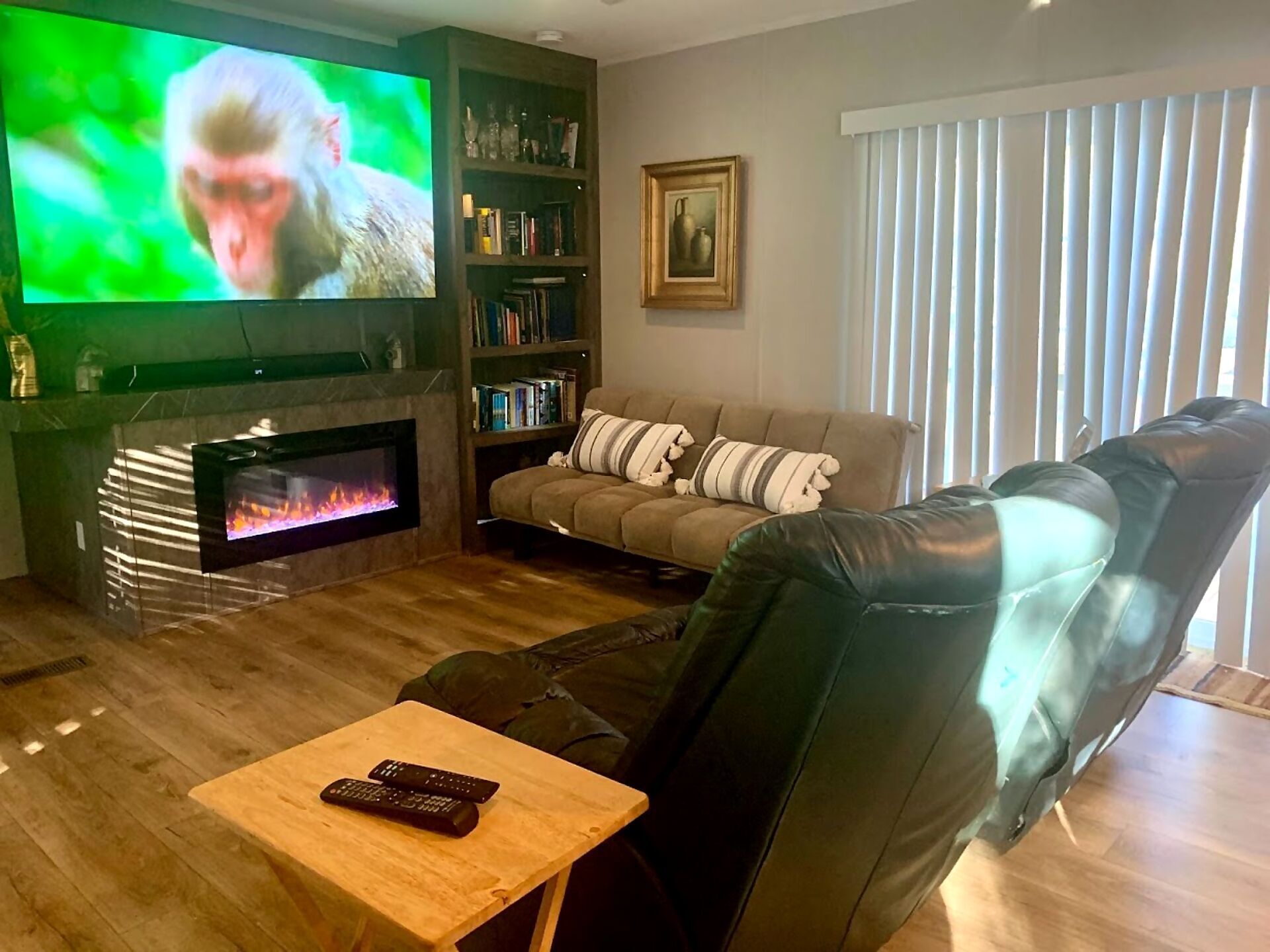Smart TV, fireplace, DVD player, books