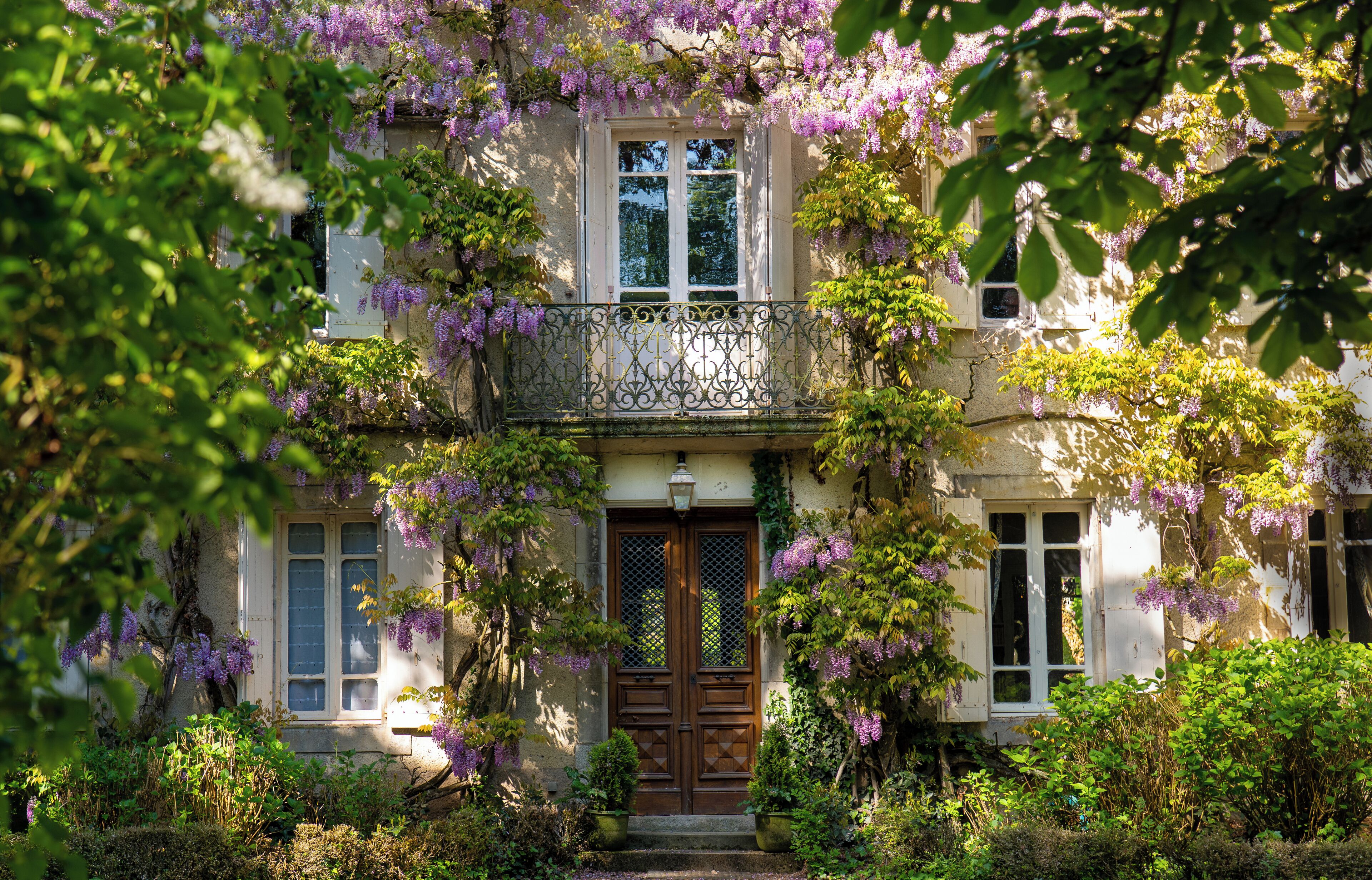 Detalle del exterior